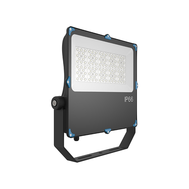 YXR-FL-100W-H-Back1